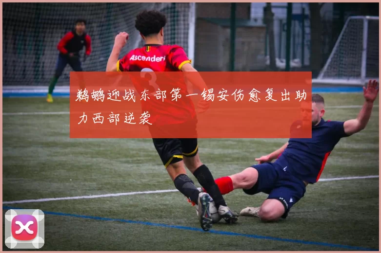 鹈鹕迎战东部第一锡安伤愈复出助力西部逆袭