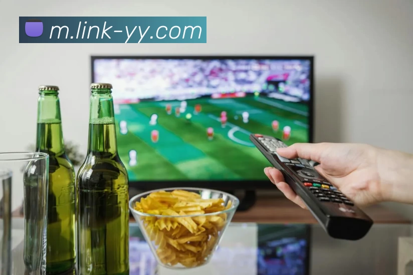 易游体育平台生态图